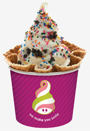 Menchie's Franchise Opportunity_2